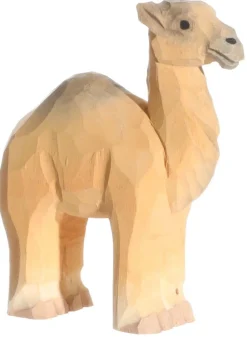 Wudimals Dromedaris 40473