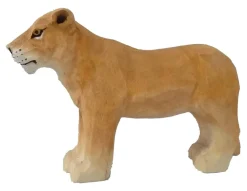 Wudimals Leeuwin 40462