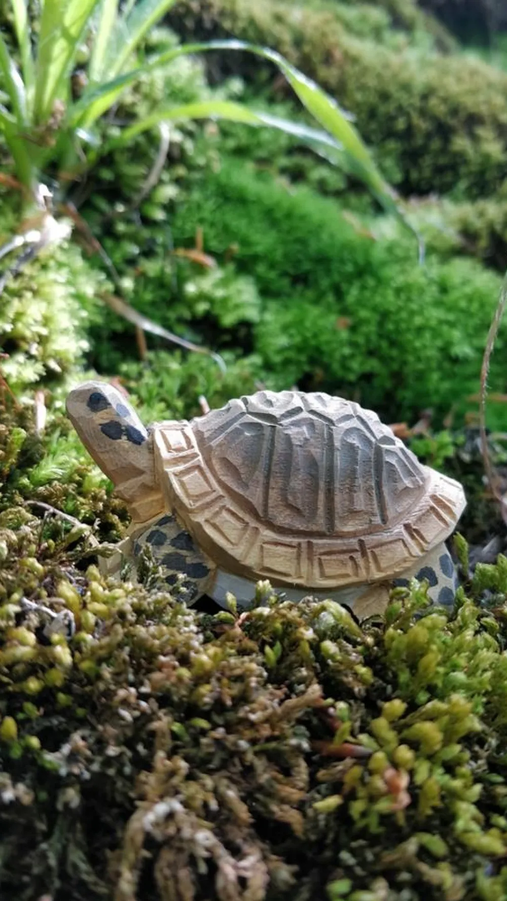 Wudimals Schildpad 40704