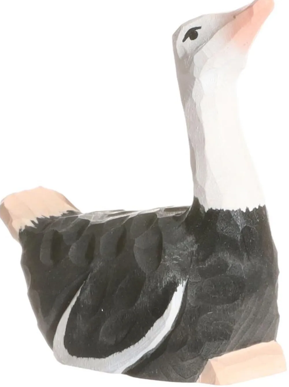 Wudimals Struisvogel 41000