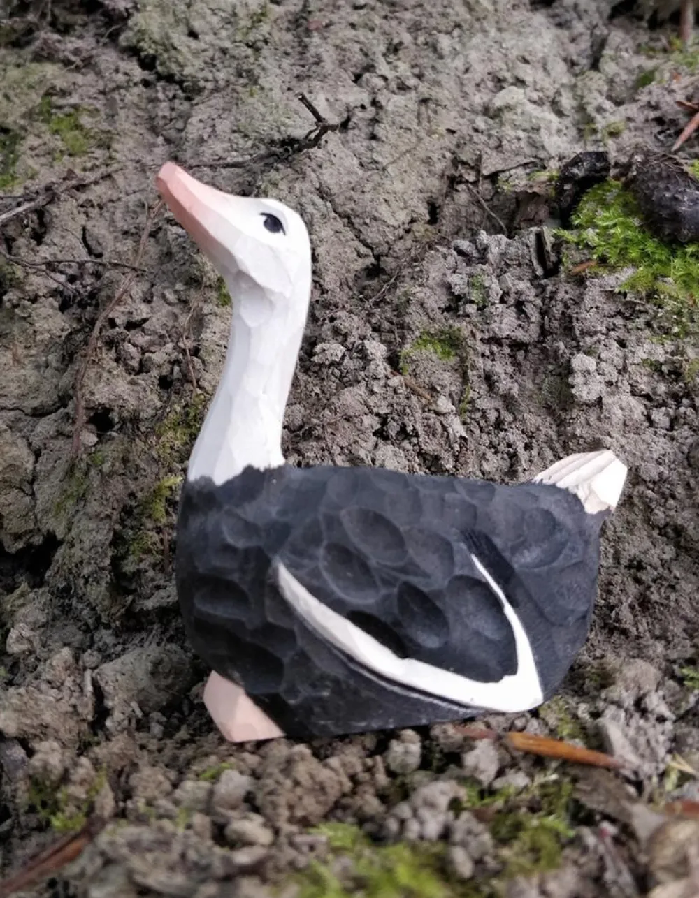 Wudimals Struisvogel 41000