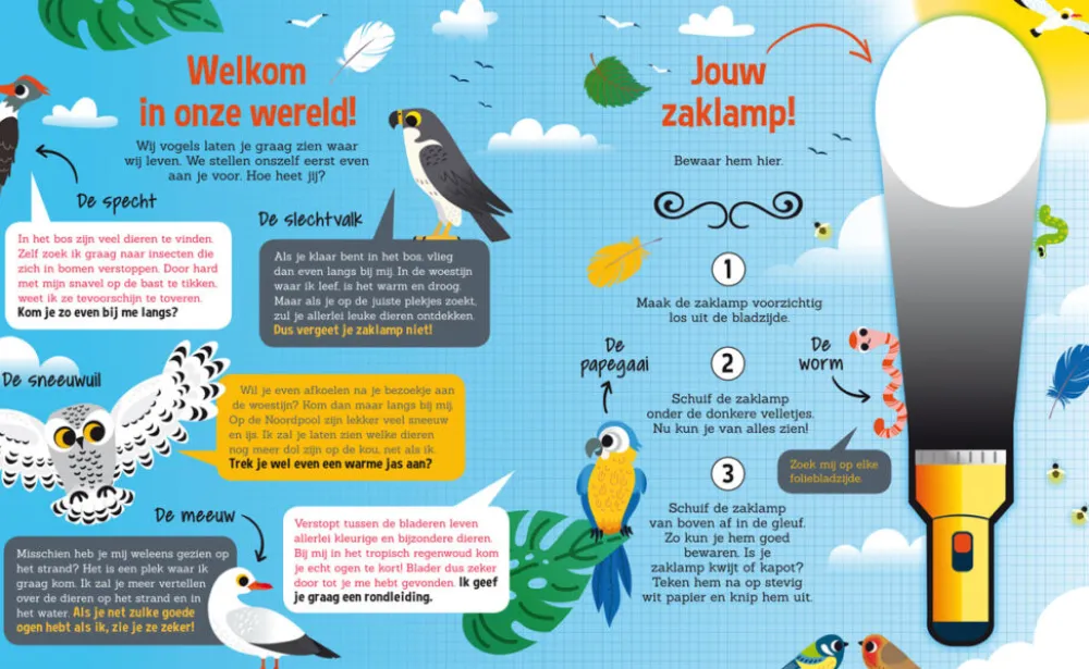 De Lantaarn Zaklampboek Speuren in de dierenwereld