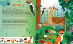 De Lantaarn Zaklampboek Speuren in de dierenwereld