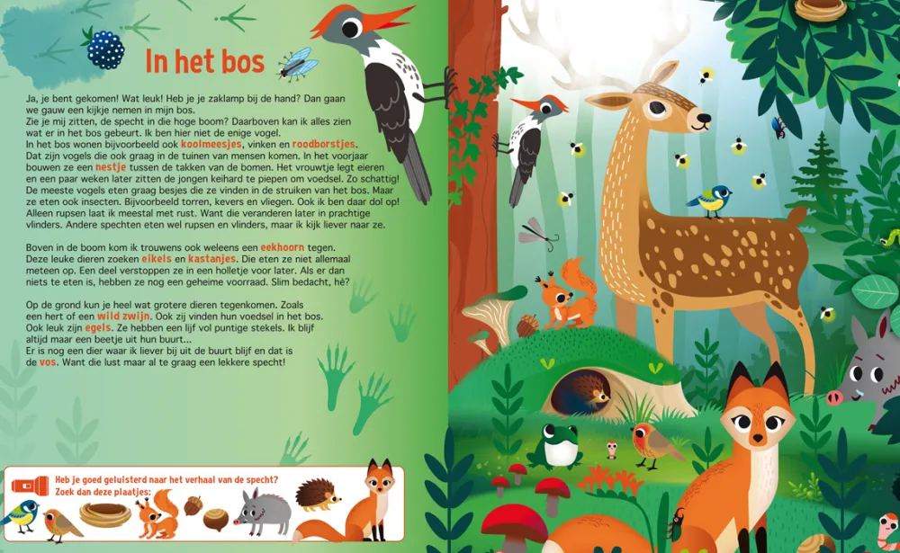 De Lantaarn Zaklampboek Speuren in de dierenwereld