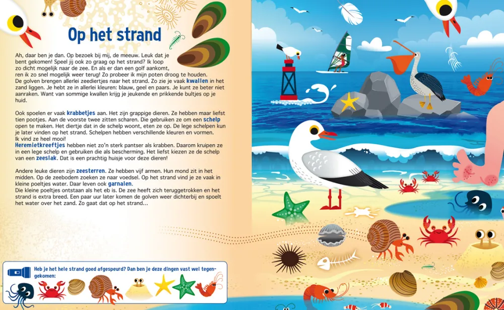 De Lantaarn Zaklampboek Speuren in de dierenwereld