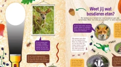 De Lantaarn Zaklampboek Speuren in het bos
