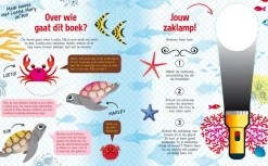De Lantaarn Zaklampboek Speuren in het water